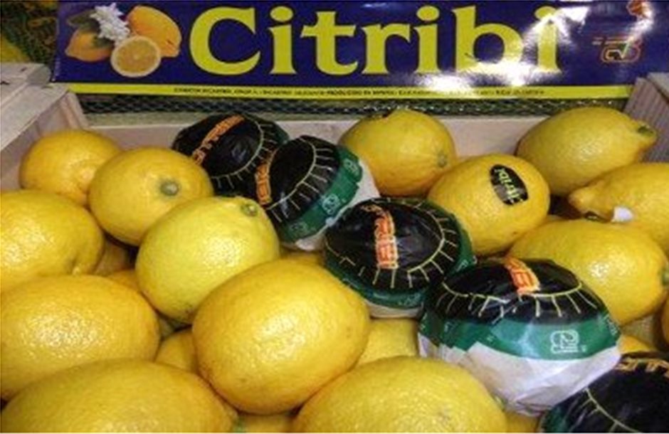 Ο τούρκικος ανταγωνισμός «πληγώνει» τα ισπανικά λεμόνια